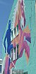 Graffitis und Wandbilder