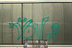 Graffitis und Wandbilder